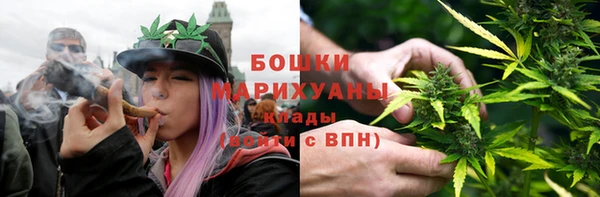 прущие грибы Богородицк