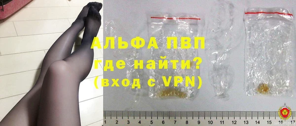 прущие грибы Богородицк