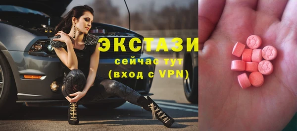 молекула духа Богданович