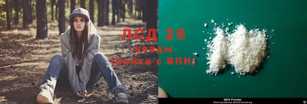 прущие грибы Богородицк