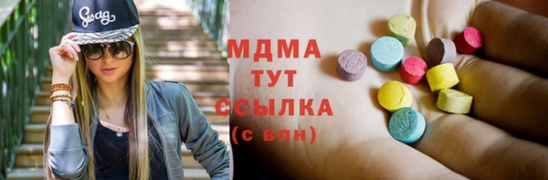 молекула духа Богданович