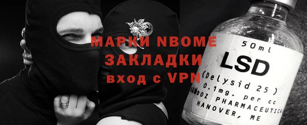 молекула духа Богданович