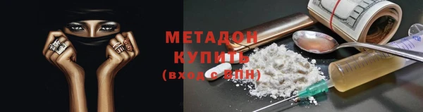 молекула духа Богданович