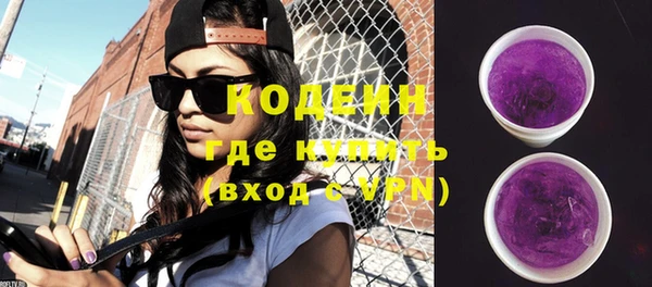 молекула духа Богданович