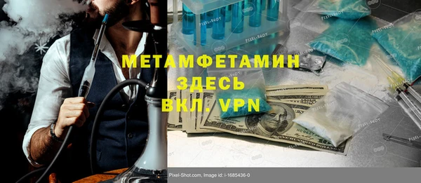 молекула духа Богданович