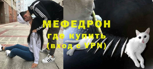 прущие грибы Богородицк