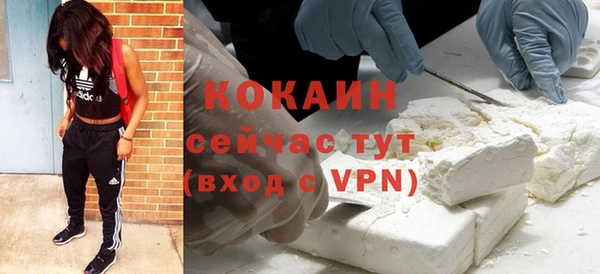 прущие грибы Богородицк