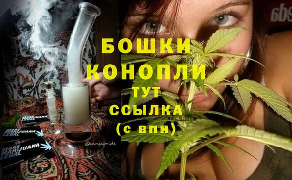молекула духа Богданович