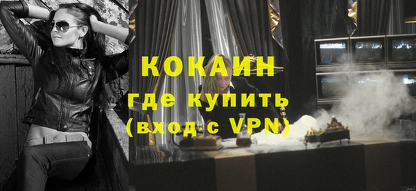 молекула духа Богданович