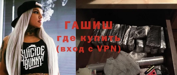 молекула духа Богданович