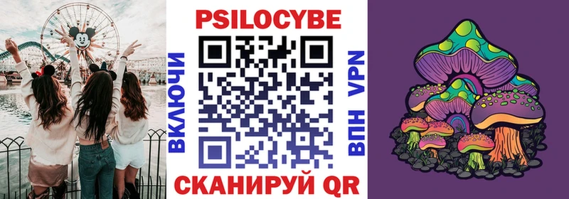 дарк нет официальный сайт  Ильский  Галлюциногенные грибы ЛСД  наркота  omg маркетплейс 