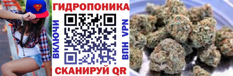 Шишки марихуана индика купить Ильский